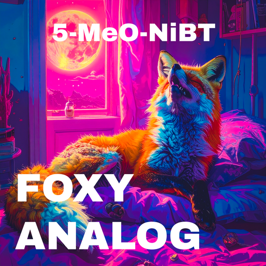 Fo○y🦊アナログ(B)