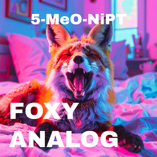 Fo○y🦊アナログ(P)