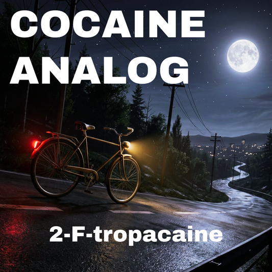 自転車アナログ